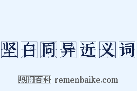 坚白同异近义词是什么意思的图片